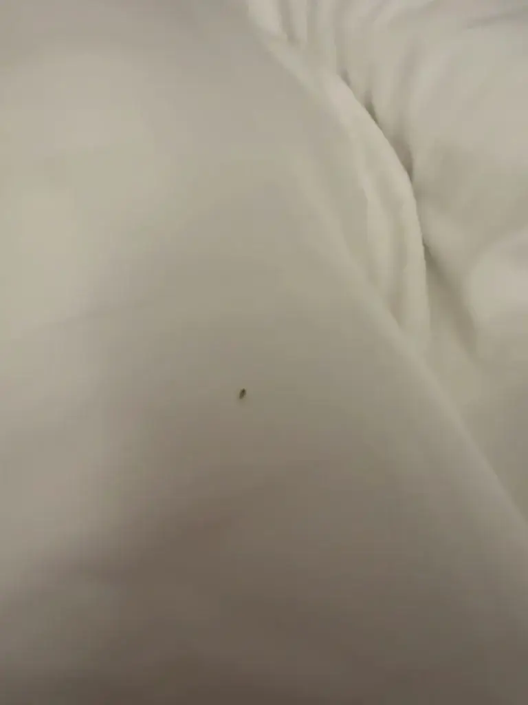 J M_Hotel Au Heimbach_Lembach_review