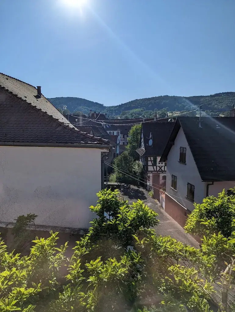 Moronic Smurf_Hotel Au Heimbach_Lembach_review