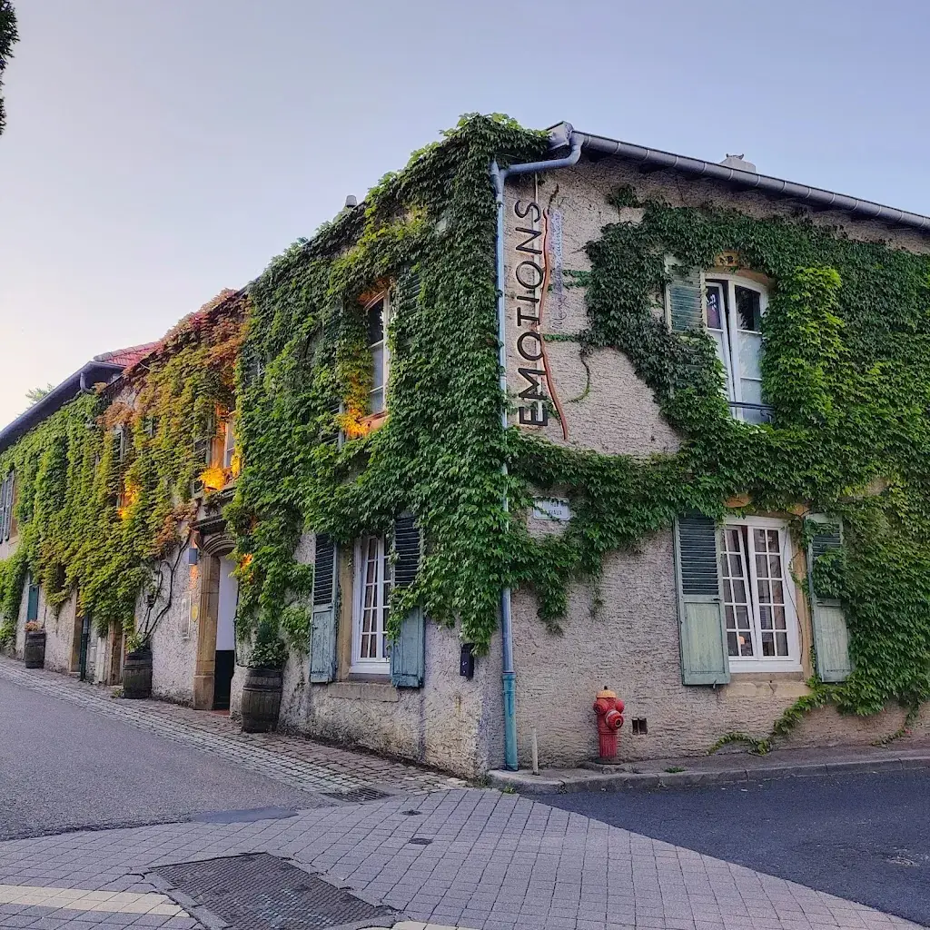 Marco Seguri_Emotions_Plappeville_review