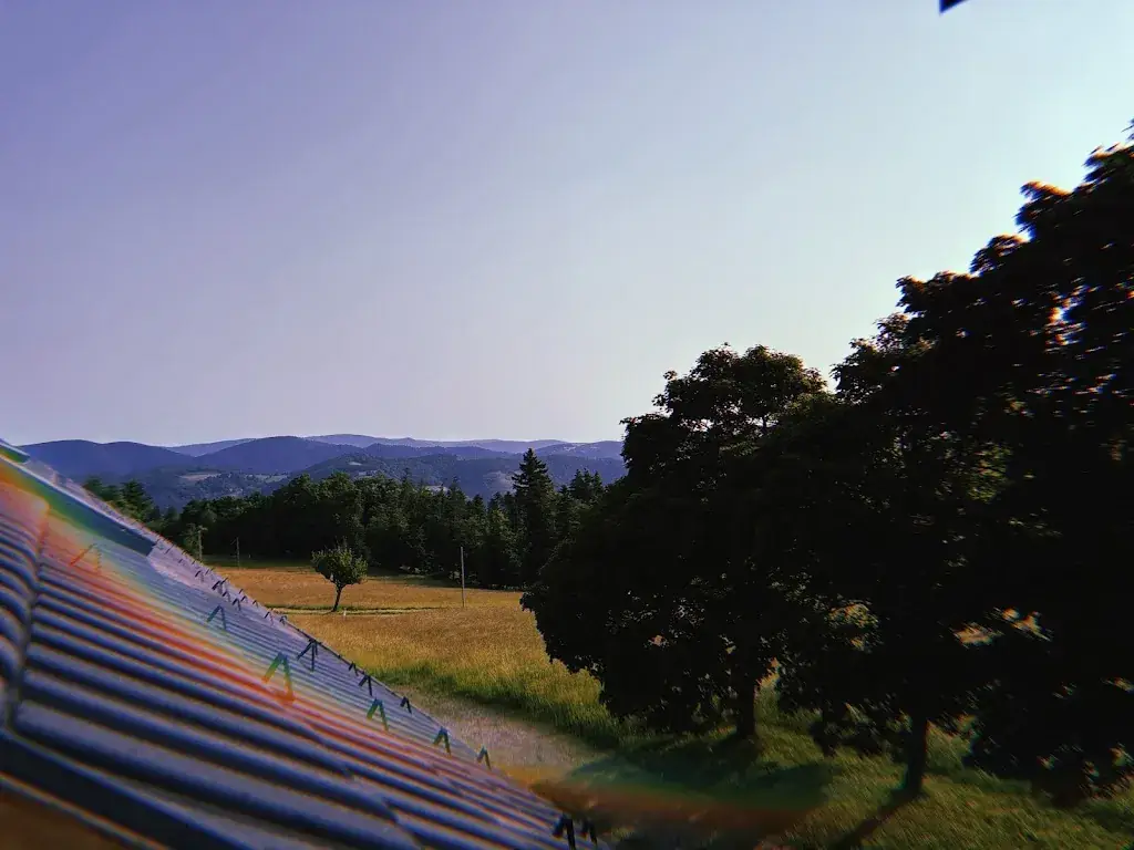 Senna Verboven_Auberge Le Petit Haut_Sainte-Marie-aux-Mines_review