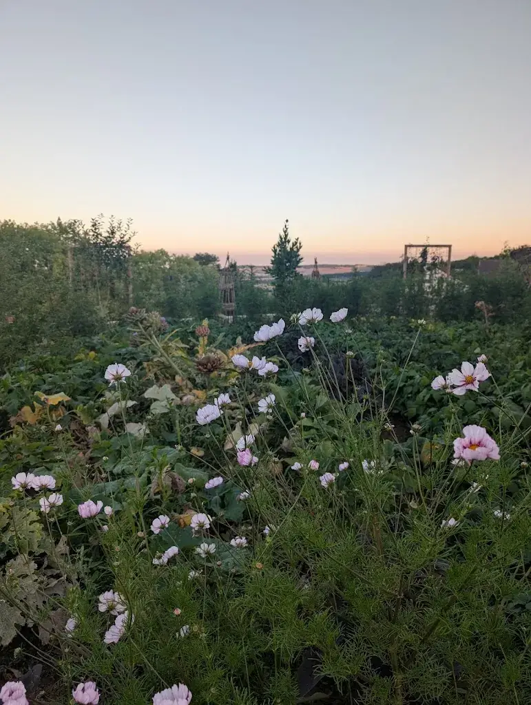 Selina Metternick-Jones_Bulle d'Osier* - restaurant gastronomique 1 Etoile Michelin_Langres_avis