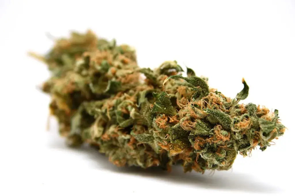 Menu_Le Relais Du Lac_Lusigny-sur-Barse_image_7