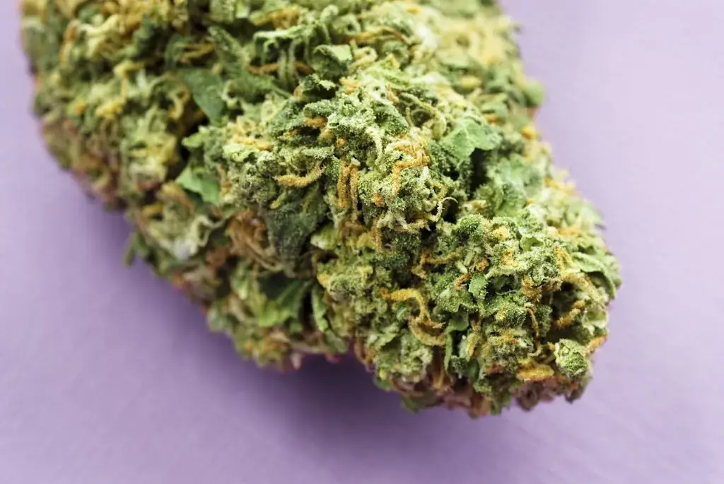 David Vanille - Épices d'Exception_Le Relais Du Lac_Lusigny-sur-Barse_review