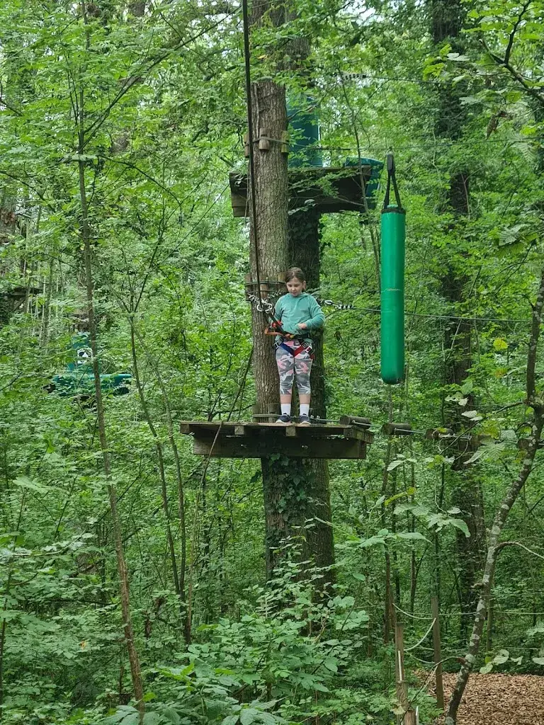 Ronald Pritchard_Grimpobranches Lusigny sur Barse_Lusigny-sur-Barse_review