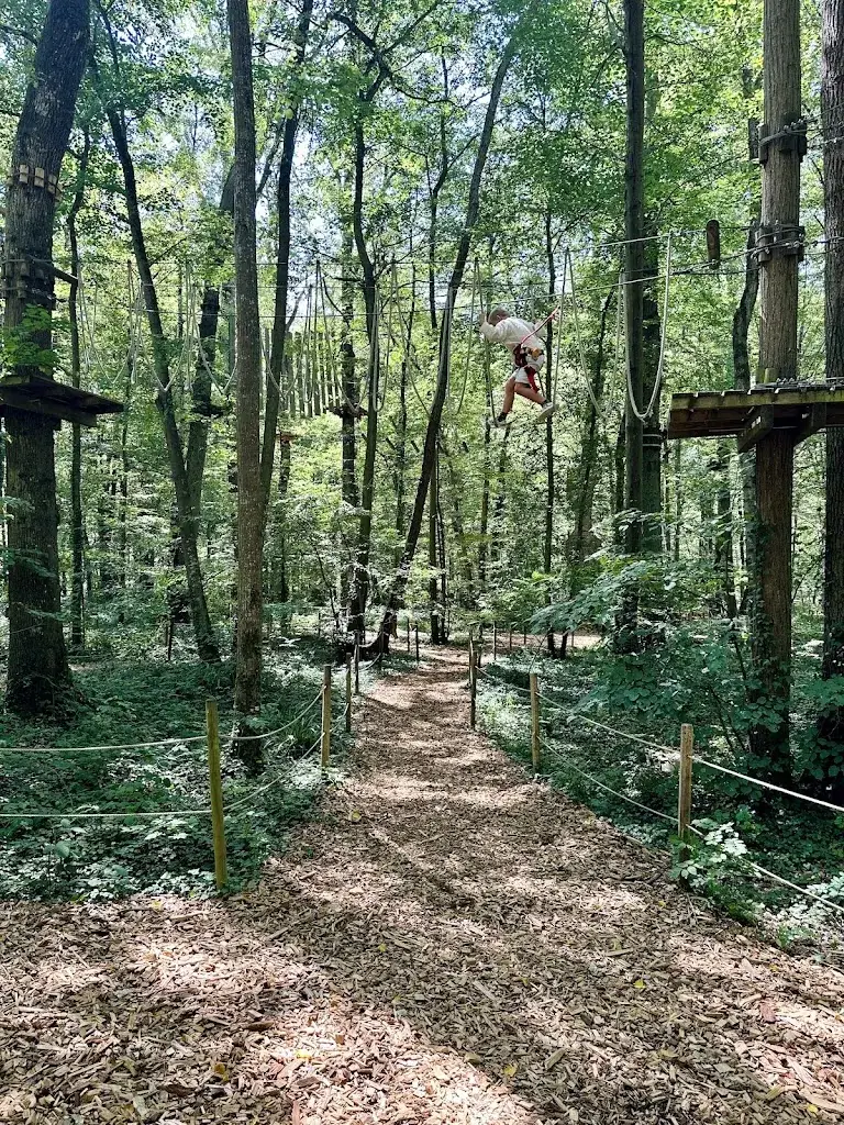 Bert Dobbelaere_Grimpobranches Lusigny sur Barse_Lusigny-sur-Barse_review