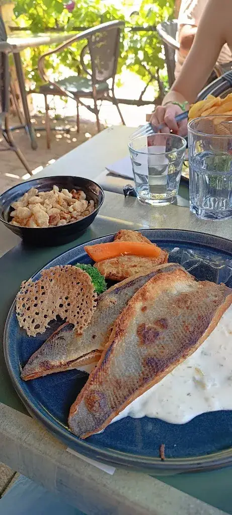 Anto_Restaurant L'Arbre Vert Marlenheim_Marlenheim_recensione