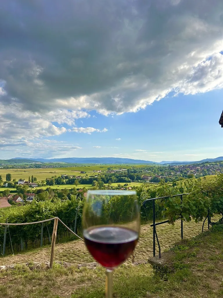 Carlo Hofman_Bistrot champêtre_Marlenheim_review