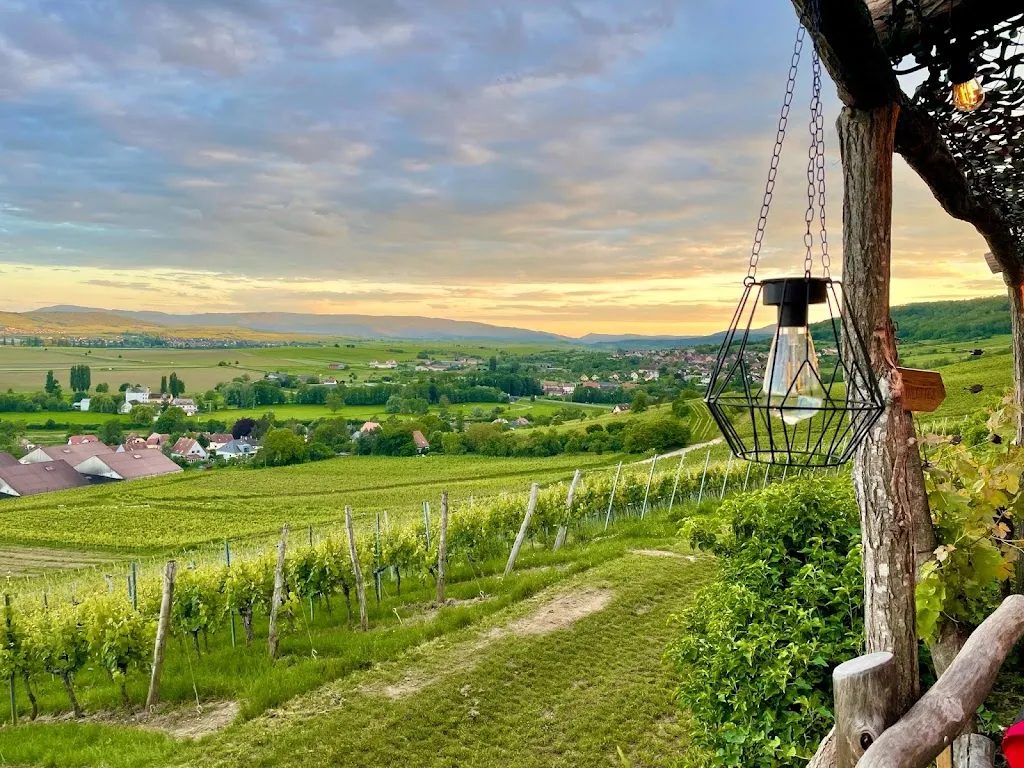 Elsa Valentinuzzi_Bistrot champêtre_Marlenheim_review