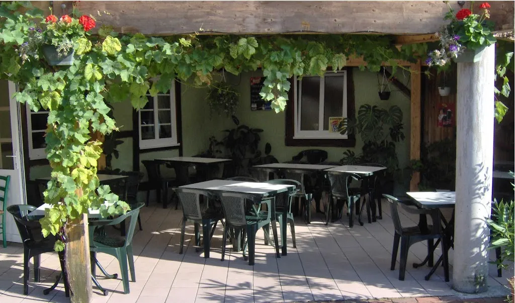 Auberge du Grand Ried - Biwand Remy restaurante en Mackenheim