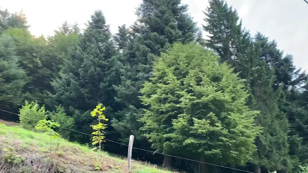 Ferme-auberge l'Entzenbach_Masevaux-Niederbruck_slider_image_2