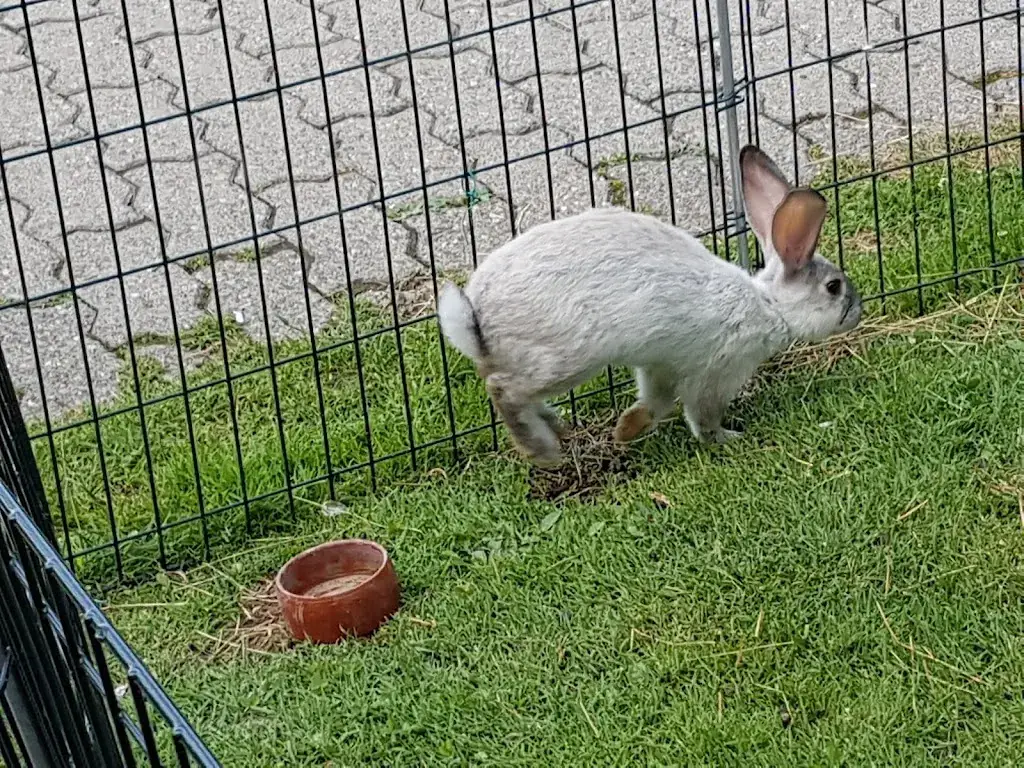 Restaurant Pro-tennis_Marly_slider_image_3