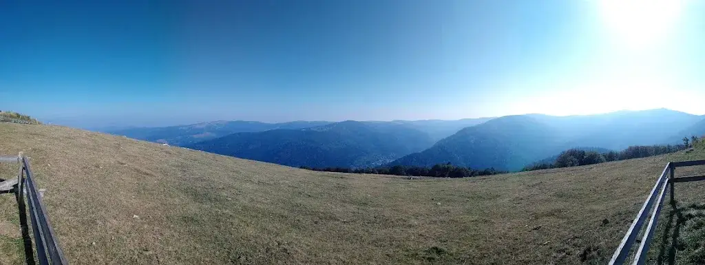 Katrin Vogler_Auberge du Kastelberg_Metzeral_review