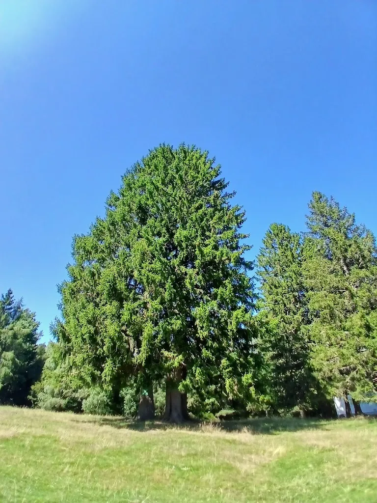 Romane0506_Ferme-Auberge du Gaschney_Muhlbach-sur-Munster_review