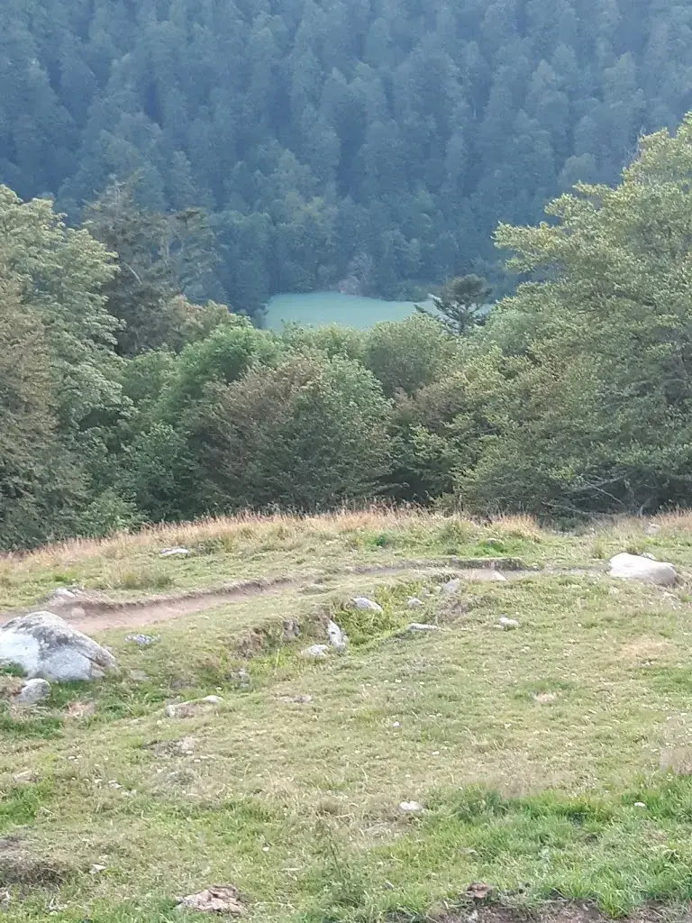 Viviane Schneider_Ferme Auberge du Schiessroth_Gaschney_recensione