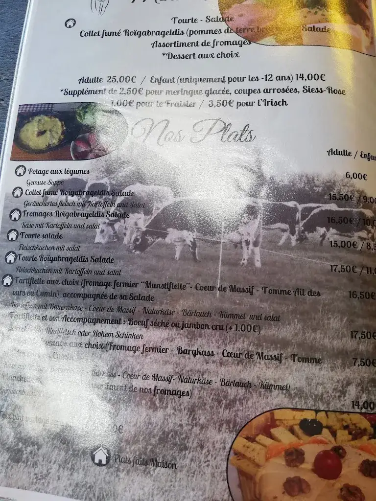 Aurores boréales_Ferme Auberge Du Salzbach_Metzeral_review