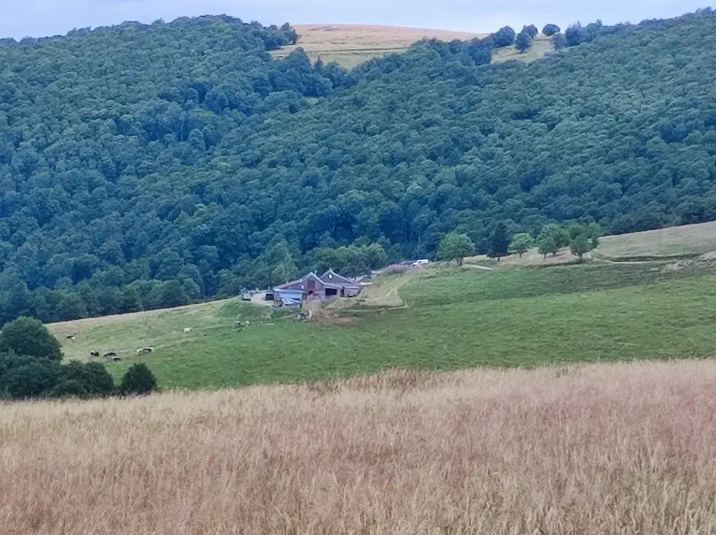 Danielle Boeglin Diringer_Ferme Auberge Du Salzbach_Metzeral_review