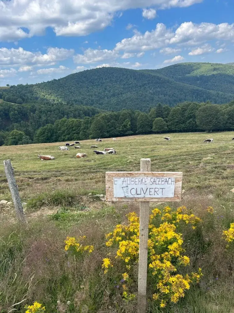 Ferme Auberge Du Salzbach restaurant in Metzeral