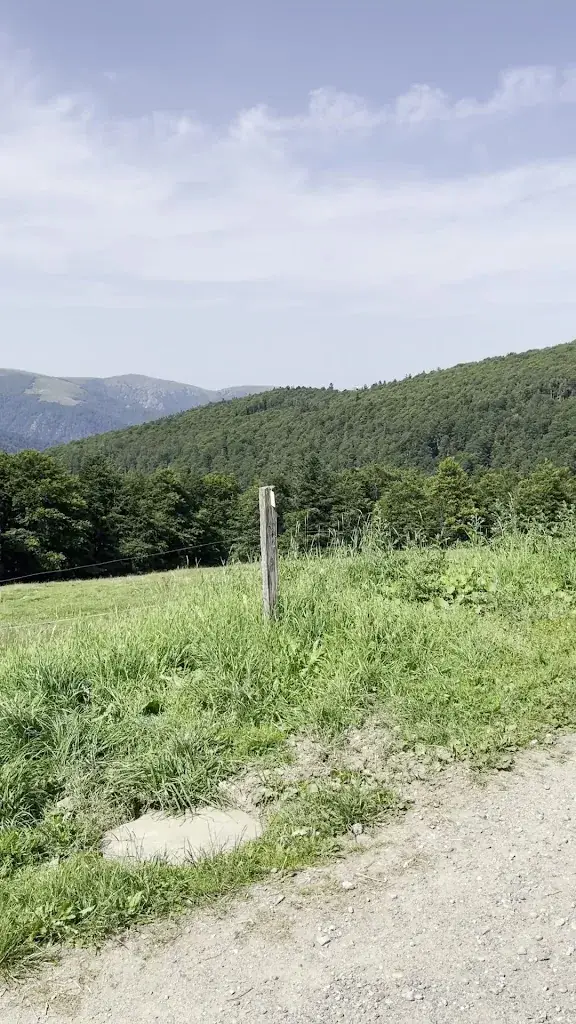Ferme Auberge Du Salzbach_Metzeral_slider_image_2