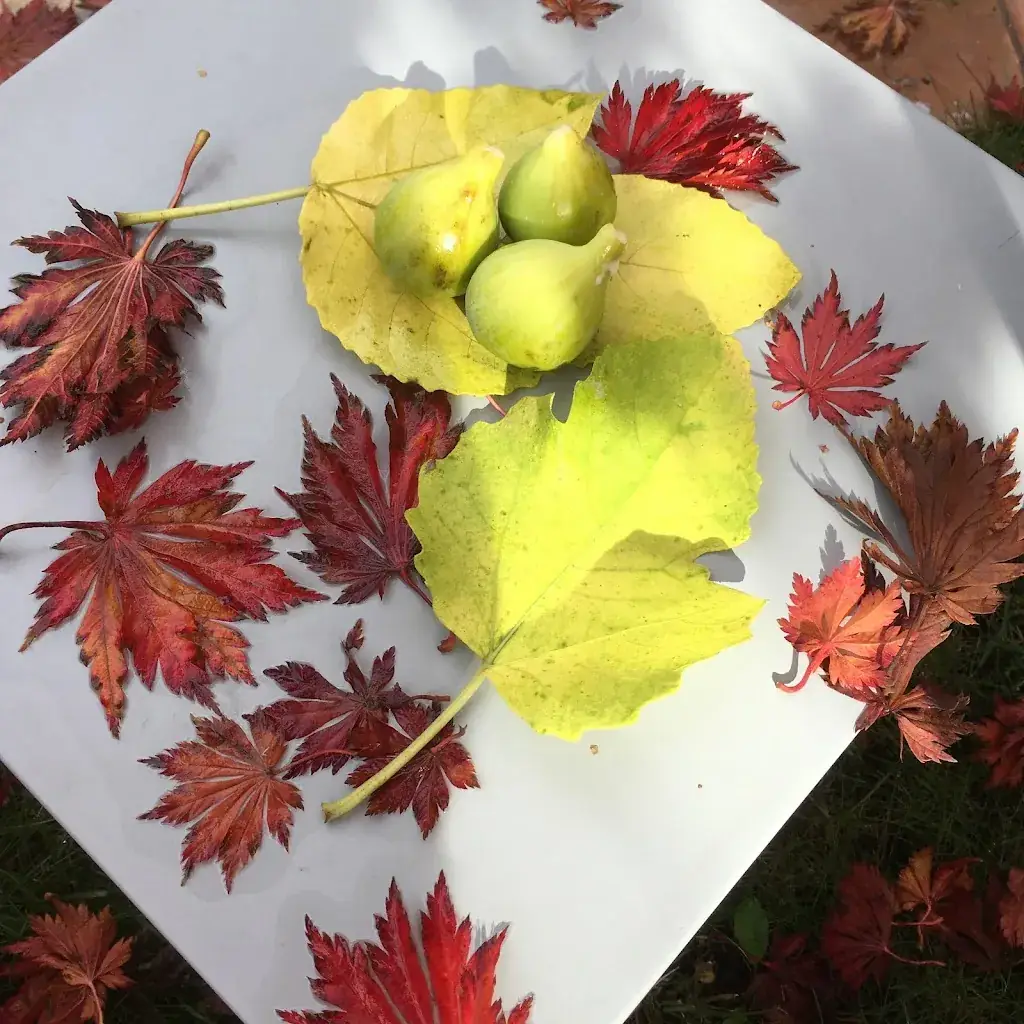 Menu_Les Gens_Méréville_image_7