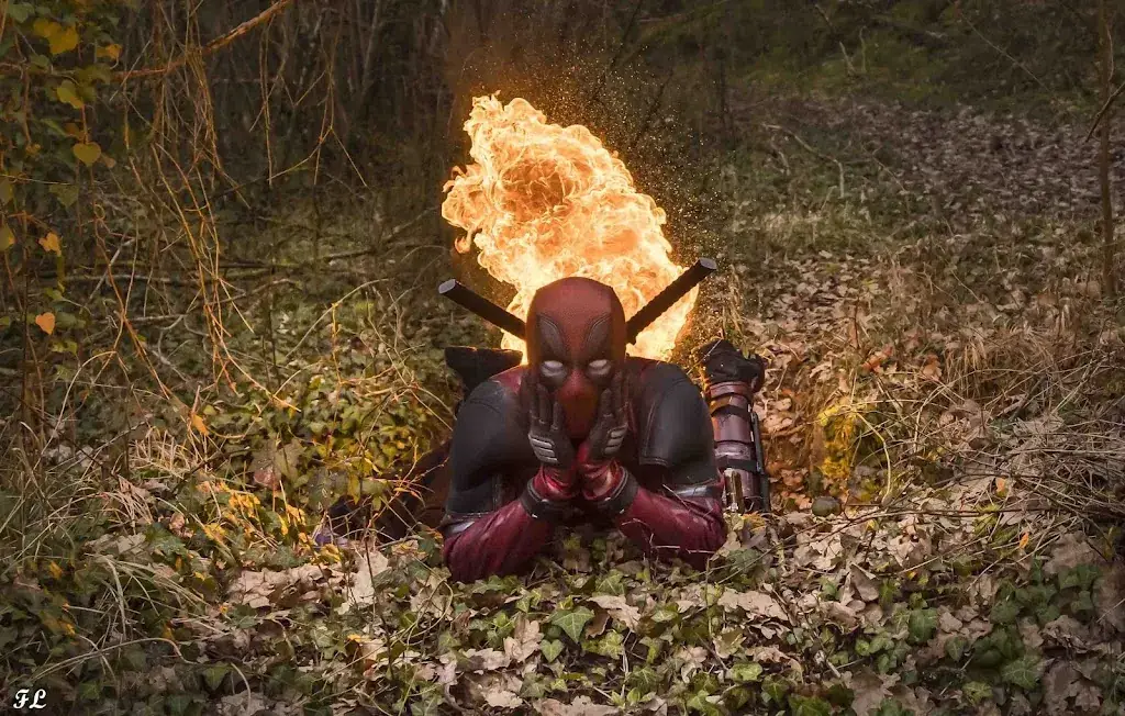 Jonathan Trunsard_Mevlana_Mérévillois_Bewertung