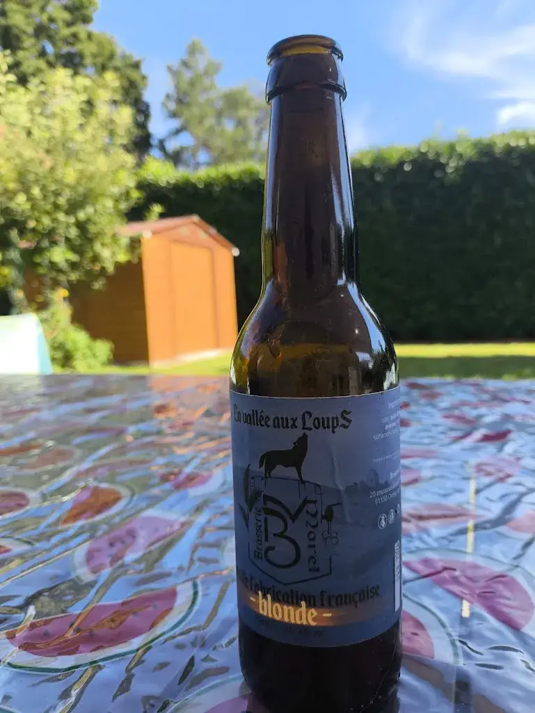 Daniel Ribeire_Brasserie Morel_Saclas_recensione