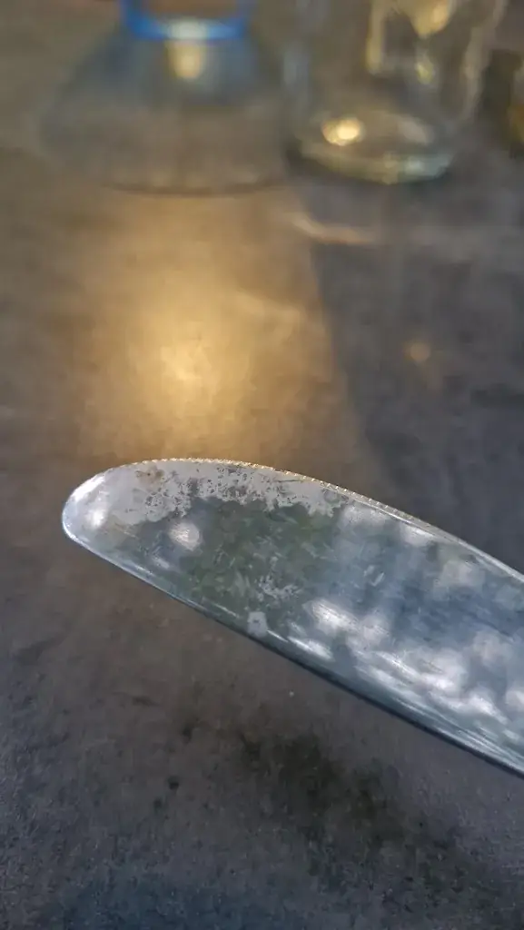 Viktor_Le Relais du Buis d'Aps_Alba-la-Romaine_review