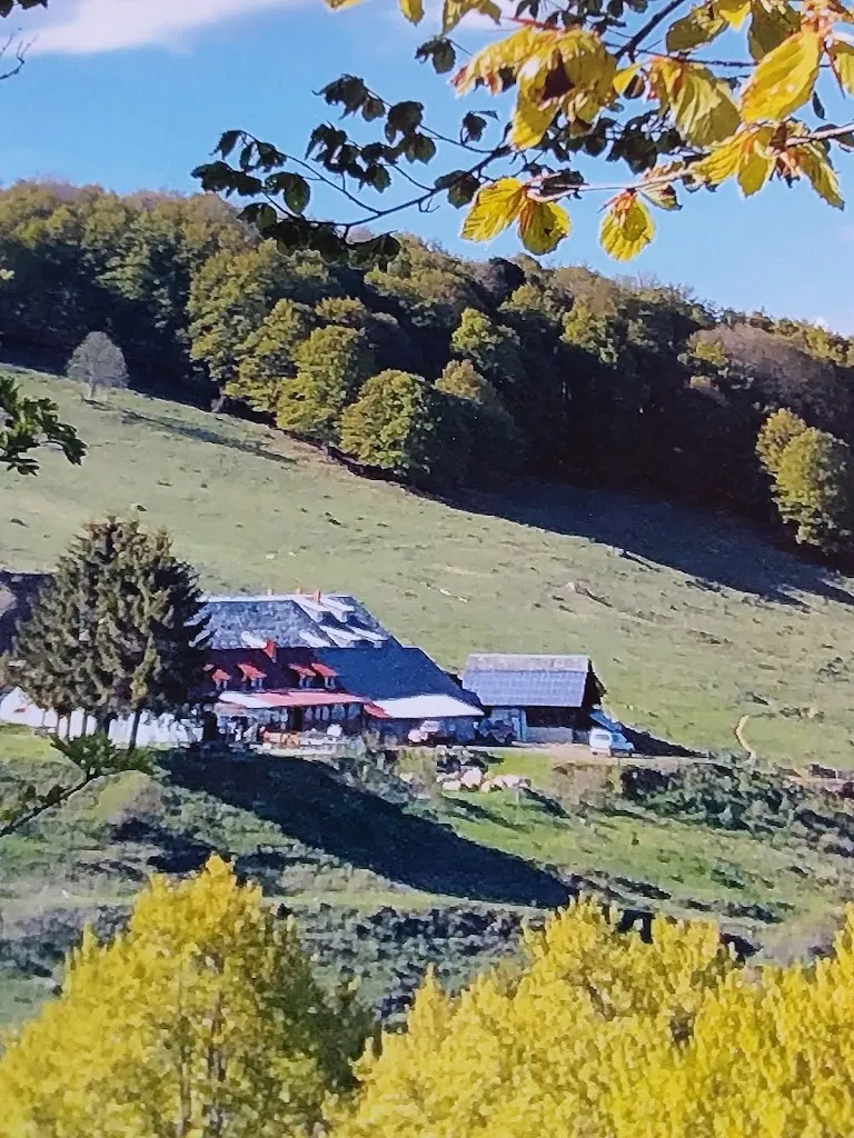 Ferme Auberge du gsang_Moosch_slider_image_3