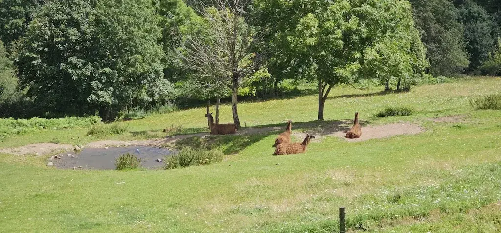 Arnaud M_Ferme-Auberge du Belacker_Moosch_review