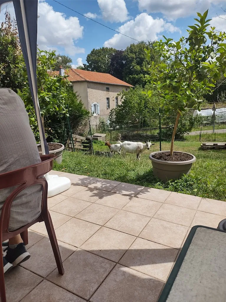 Daniele Moatti-Gornet_Auberge des Pêcheurs_Poussay_review