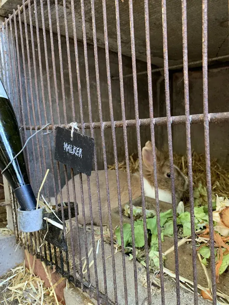 David Tan_la table des malker_Munster_review