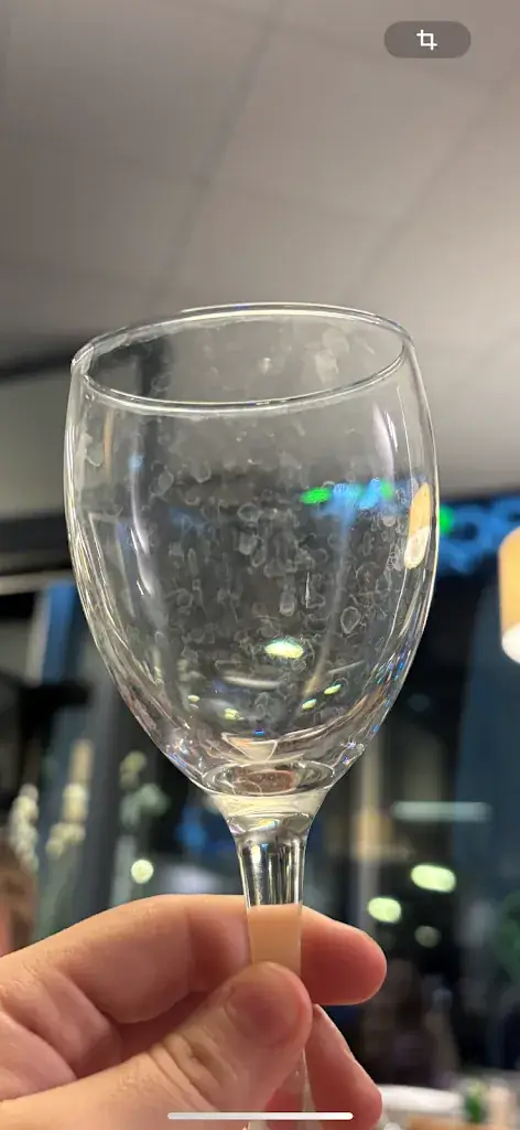 Camille Van Deik_Bistro Régent_Moulins-lès-Metz_avis