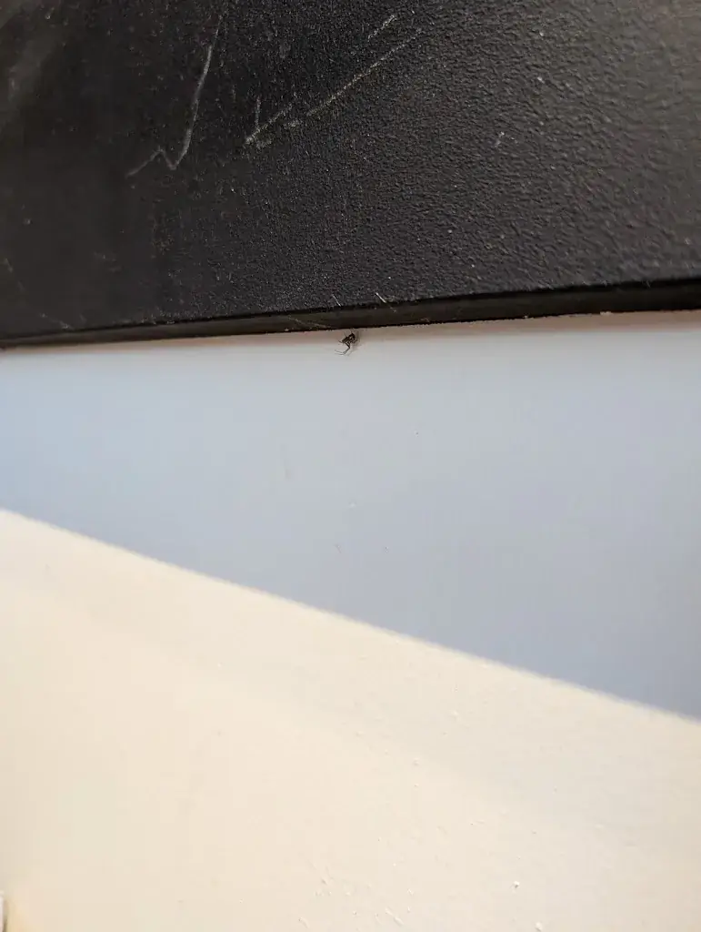 Marie Marie_Bistro Régent_Moulins-lès-Metz_avis