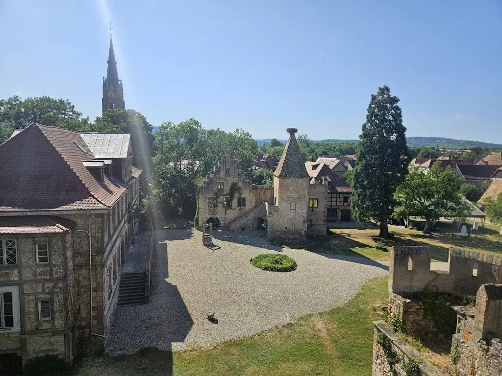 Jasper Daemen_Château de Niedernai_Niedernai_review