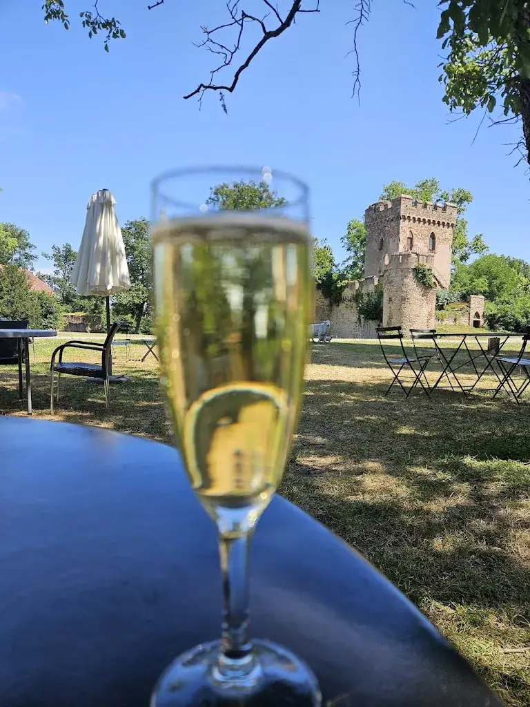 Château de Niedernai_Niedernai_slider_image_3