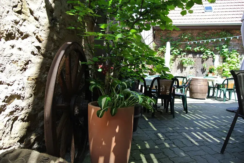 Restaurant La Fleur d'Or restaurant in Niederschaeffolsheim