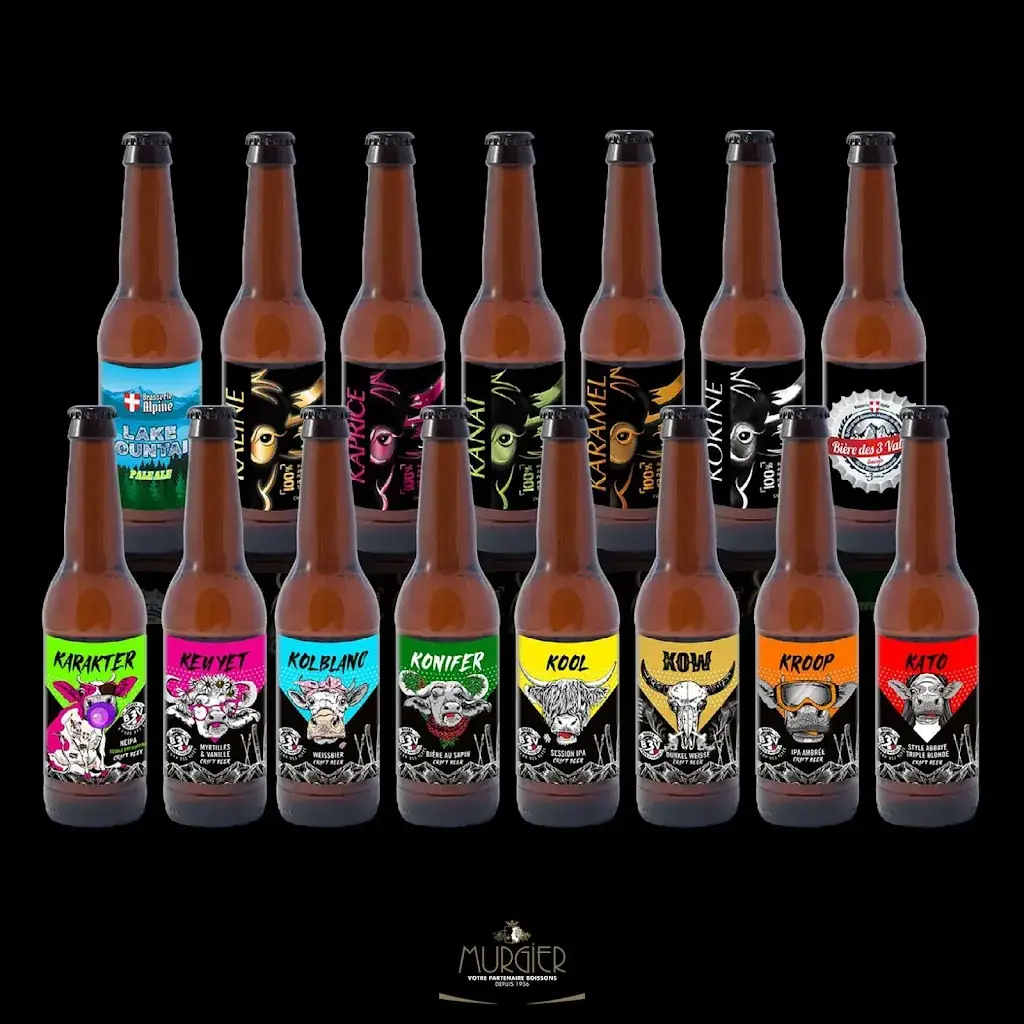 Brasserie Alpine_Moûtiers_slider_image_2