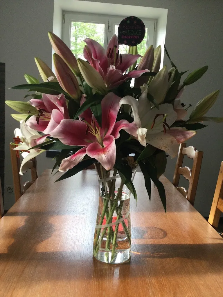 Raynald Croisé_Au jardin de l'abbaye_Moyenmoutier_review