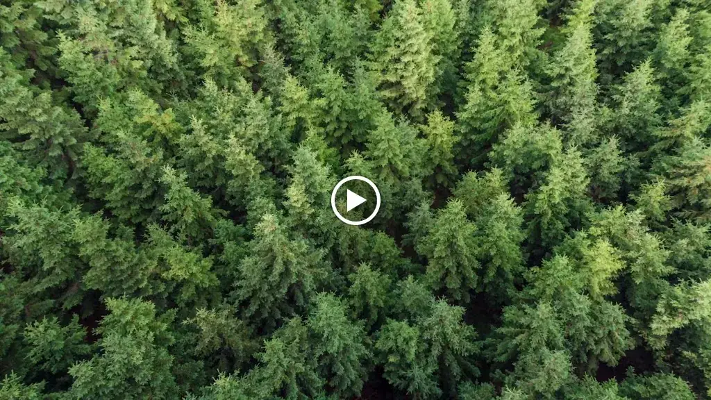 Le Clos des Délices_Ottrott_slider_image_2