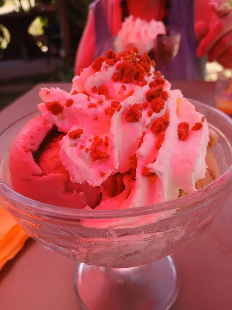 Romane0506_Auberge Au Bon Chasseur_Pfaffenheim_review