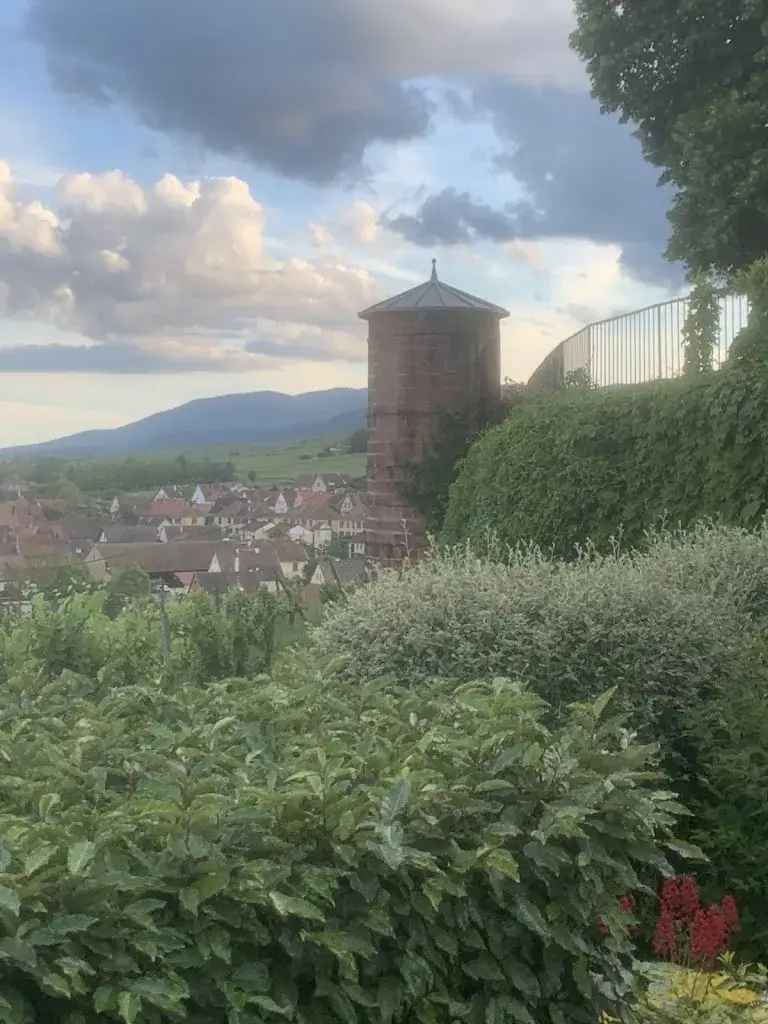 Luca_Restaurant Les Tommeries (Château d’Isenbourg)_Rouffach_review