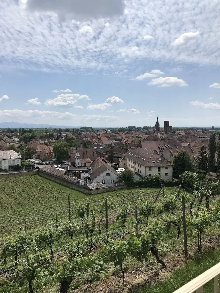 Kees Van Driel_Restaurant Les Tommeries (Château d’Isenbourg)_Rouffach_review