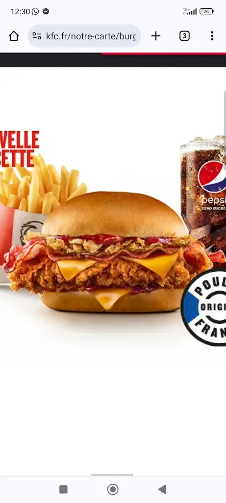 Menu_KFC Strasbourg Vendenheim_Mundolsheim_image_2