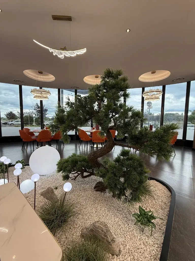 Alexandre D'hont_Restaurant ASUKA_Lampertheim_review