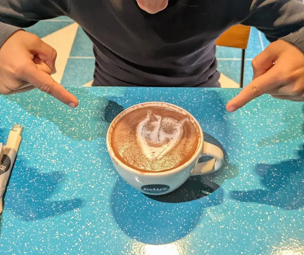 Ocean house_Peltre Lonchería (Pedregal)_Mexico_review