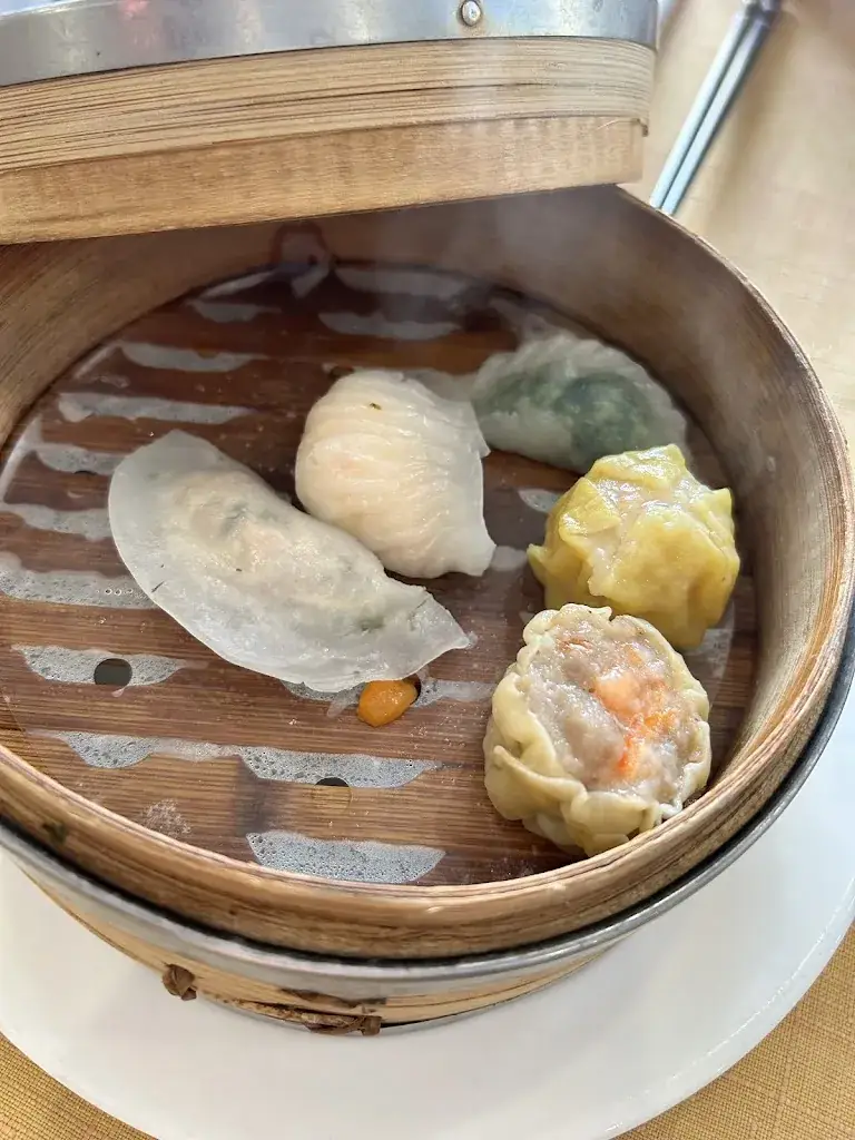 Menkor Hajd_Les Terrasses d'Asie_Pfastatt_review