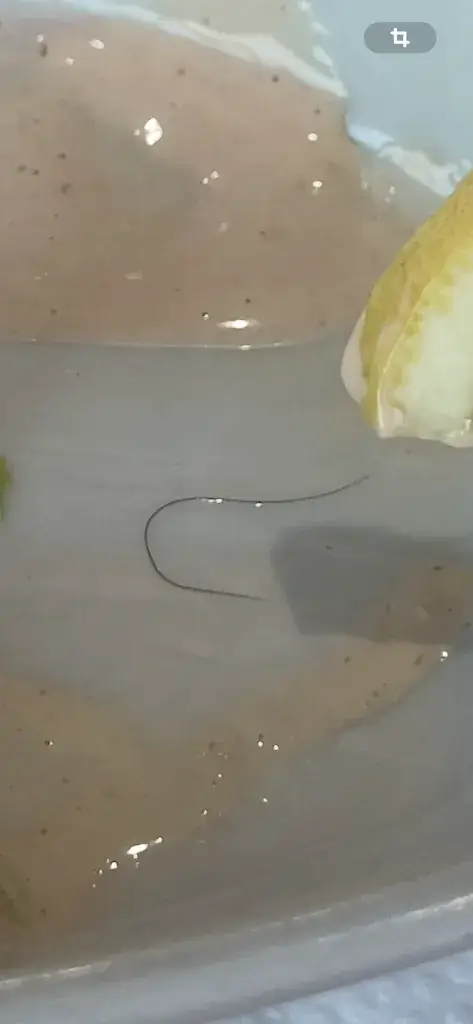 alain steinmetz_Restaurant Bell'Italia_Pfastatt_avis