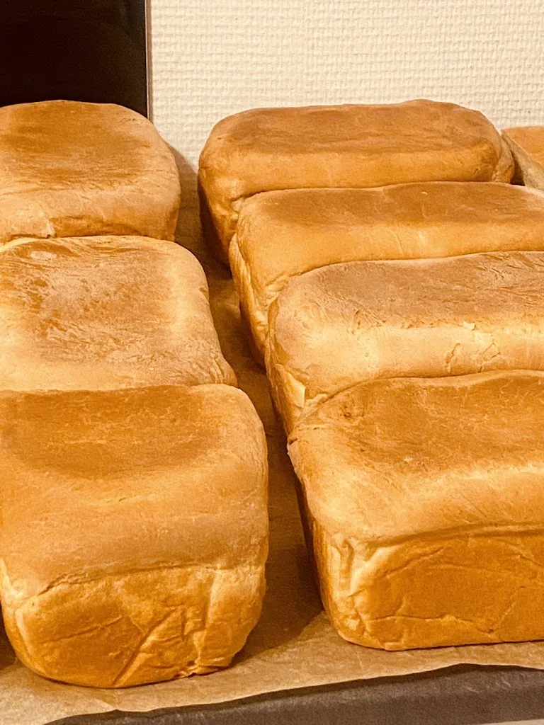 Menu_LAM / Nogent sur Seine_Nogent-sur-Seine_image_9