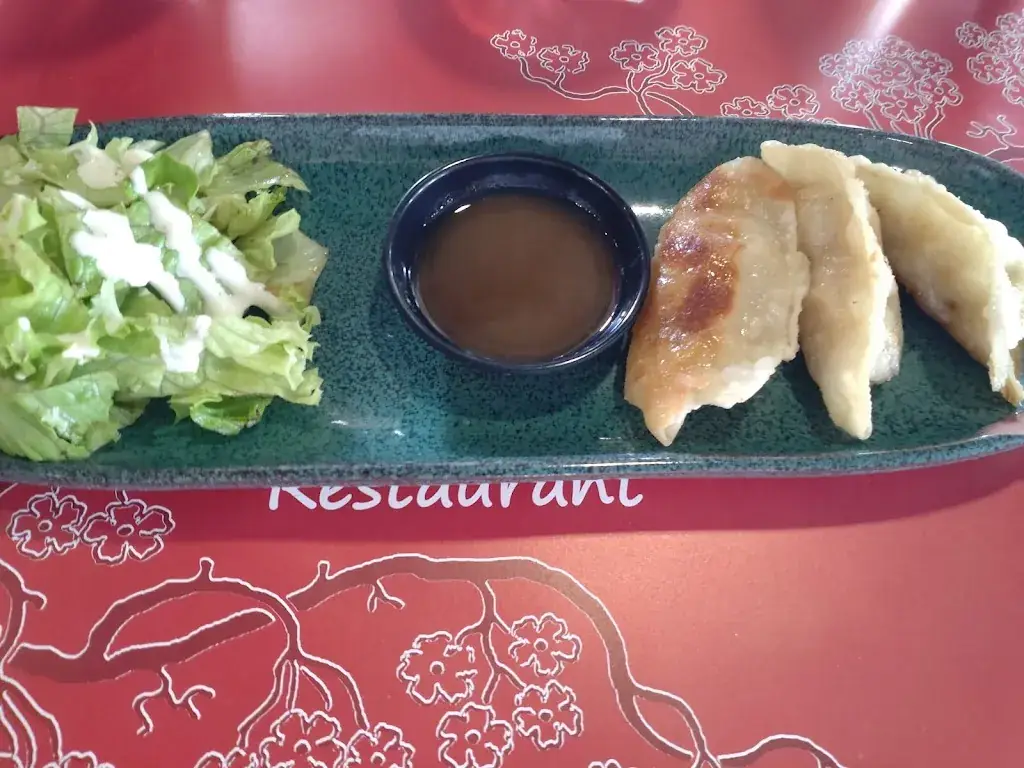 Simon Bor_La Table de Camille restaurant franco vietnamien_Nogent-sur-Seine_review