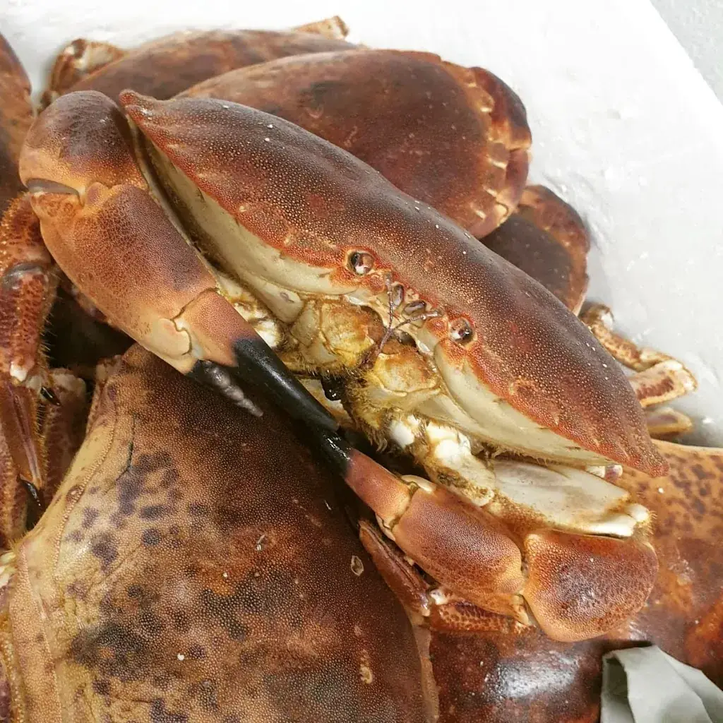 Café De Bellevue_Nogent-sur-Seine_slider_image_2