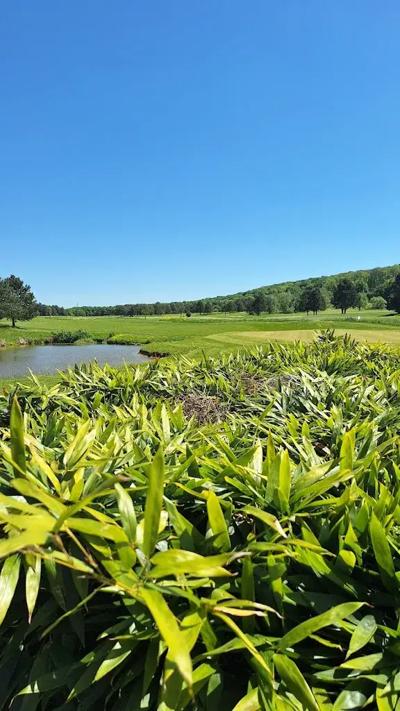Elise GRD_Restaurant du Golf du Grand Nancy Pulnoy_Pulnoy_review